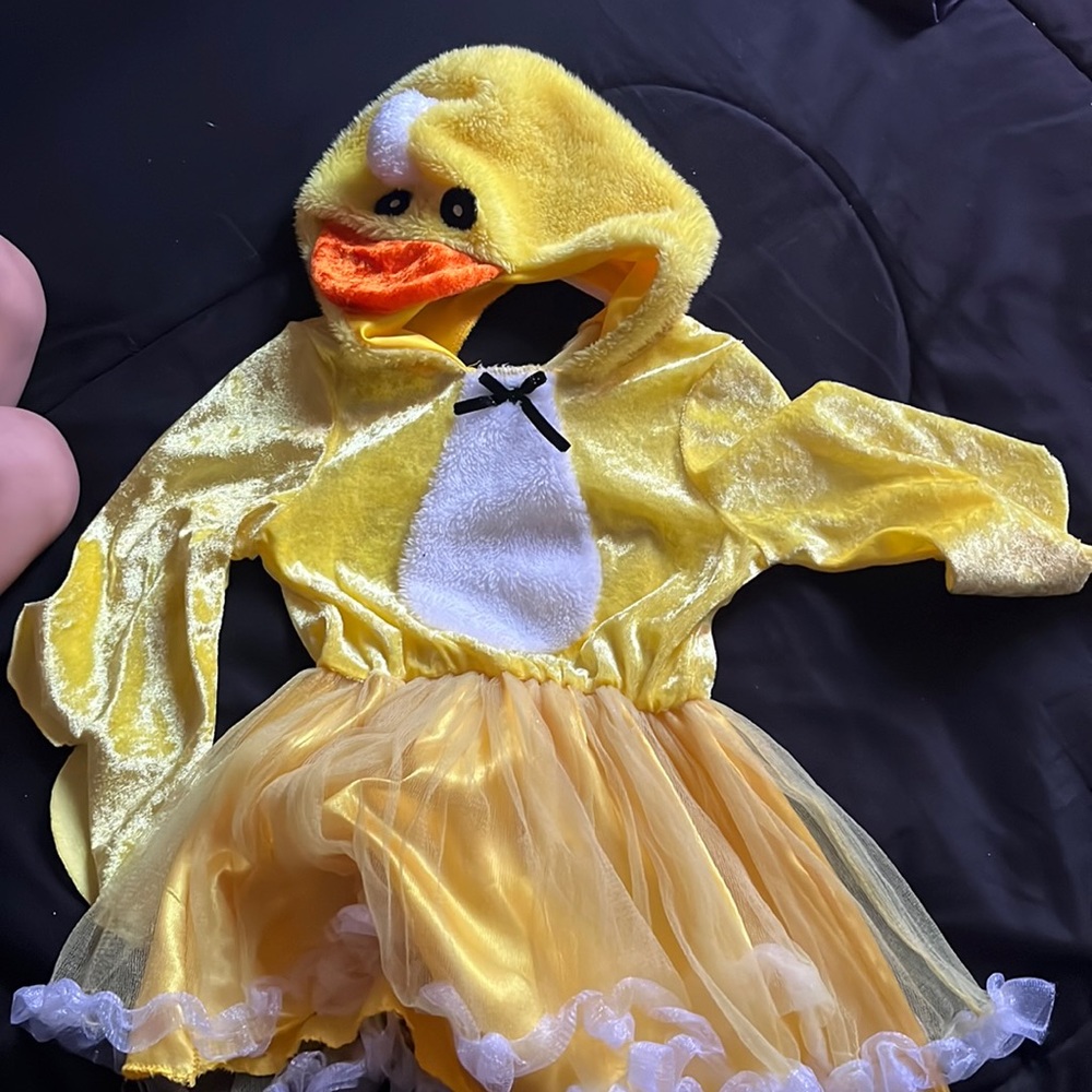 duck costume